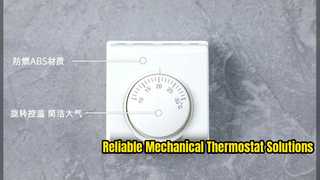 Xem Tại Sao Nên Chọn Máy Làm Mát Nước Cơ Khí Nóng AC220V Cho Trường Học Bệnh Viện